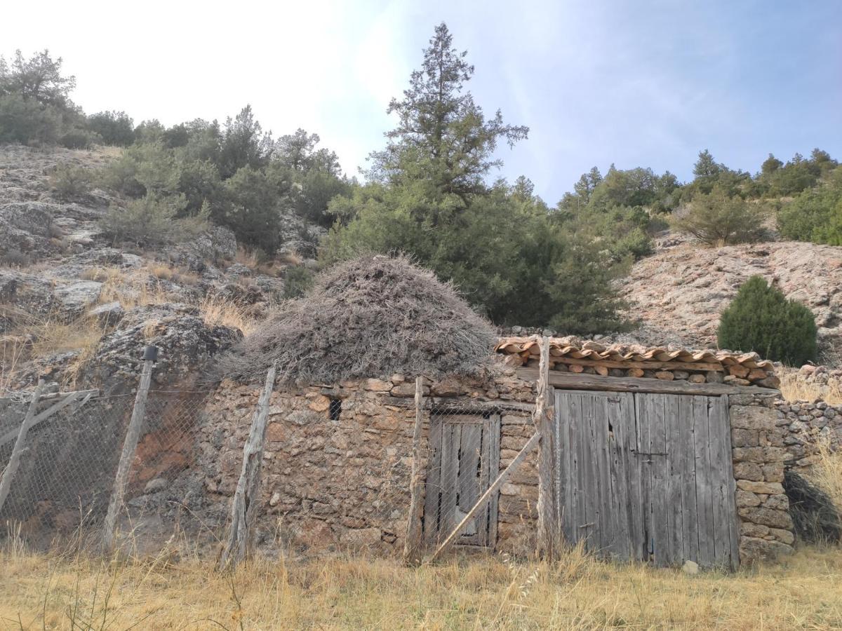 Casa Rural Sierra Del Solorio Iruecha Eksteriør billede