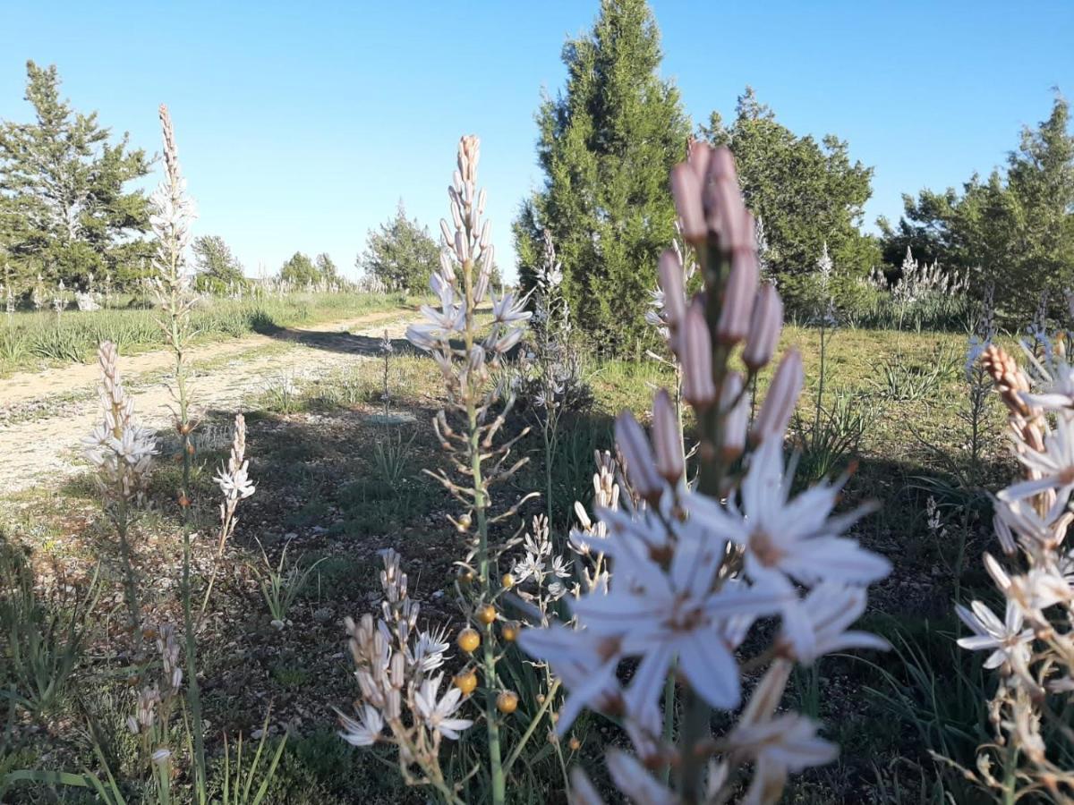 Casa Rural Sierra Del Solorio Iruecha Eksteriør billede